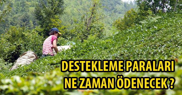 365 Kredi