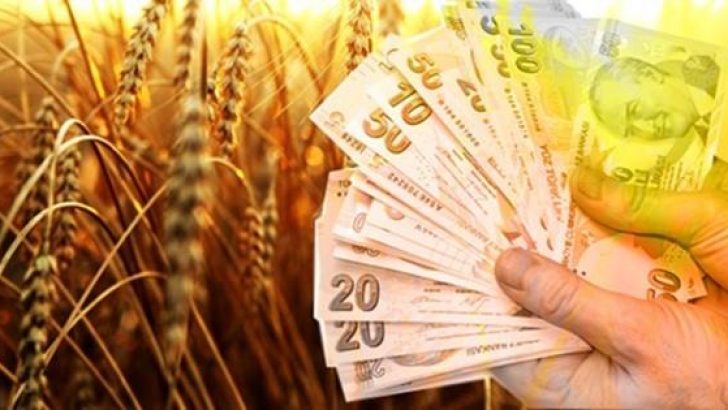 Tarım Sektöründe Üretici Çiftçilere 5 Yıl Vadeli Kredi İmkanı